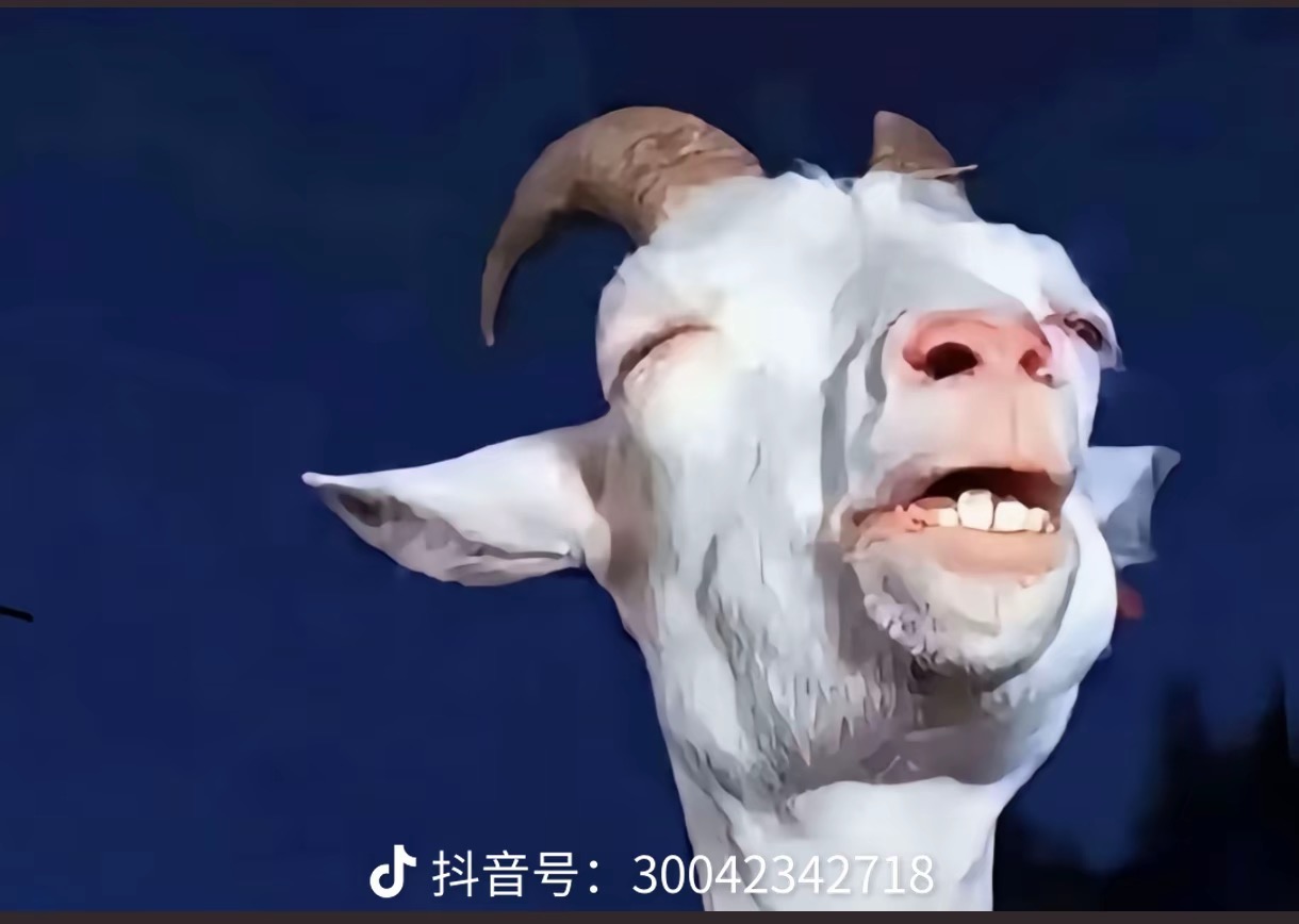 WEEX 唯客2024年度报告：用户突破 500 万，日均交易额超 50 亿美元，团队规模达 500+